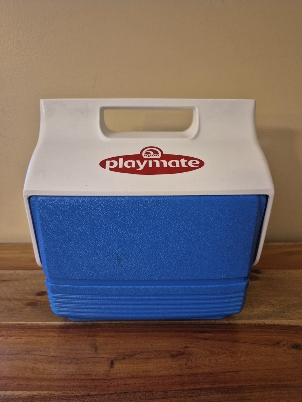 Little Playmate by Igloo Personal Mini Blue & White Lunch Cooler